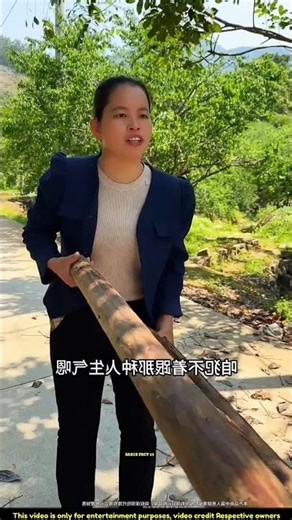 মনে হয় কানে বেশি শুনে? 🤔~mini wood toy-wood working art skill wood / hand crafts / #shorts #viral