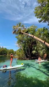 Paradise is waiting for you in Dunnellon, Florida, where you can paddle, snorkel or boat the Rainbow River! Rainbow River offers a tranquil and serene atmosphere. This charming location is known for its: 💦 Stunning, natural swimming pools at Rainbow Springs state Park & KP Hole County Park 🌴 Breathtaking paddling along the river in your paddle board or kayak 🔑 Vacation rentals you will fall in love with & never want to leave by @rainbowriverbungalows! Ready to book your Rainbow River getaway?