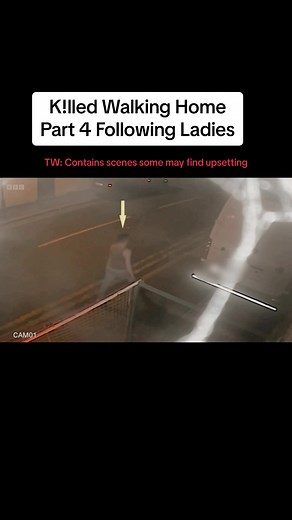 The Big Cases: Following Ladies - True Crime Investigation