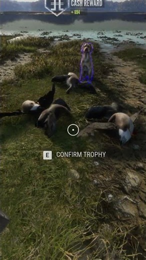 BEST XP/MONEY Making Method | The Hunter: Call of The WILD