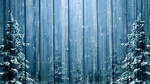 Download Wooden Winter Background And Spruce Trees for free