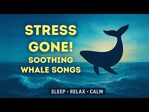 Ocean Waves & Whale Songs | Deep Sea Sounds for Sleep & Relaxation