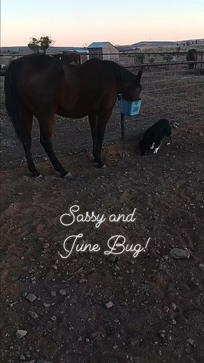 13 reactions | Mike Balog on Reels | Facebook