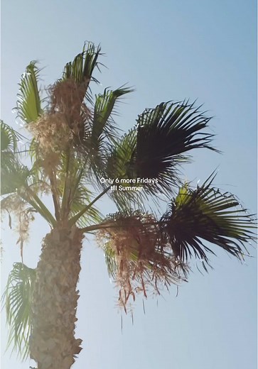 Summer Fridays on TikTok