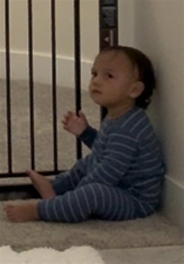 Hilarious Arguments with a Talking Toddler