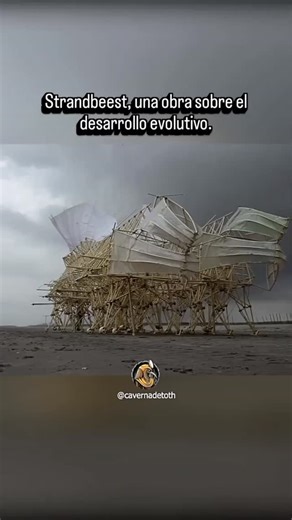 El artista cinético neerlandés Theo Jansen fusiona arte e ingeniería para dar vida a sus Strandbeesten (bestias de playa). Estas impresionantes estructuras, a menudo de gran tamaño, están construidas principalmente con tubos de PVC. Su genialidad radica en la capacidad de estas "criaturas" para moverse de forma autónoma gracias únicamente a la fuerza del viento, simulando un proceso de desarrollo evolutivo. Jansen no solo construye máquinas, sino que les otorga una forma de "vida" artificial que