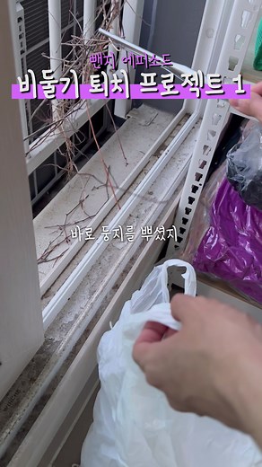 비둘기 퇴치 프로젝트1편::비둘기부부 전세 들어옴 #비둘기 #비둘기퇴치