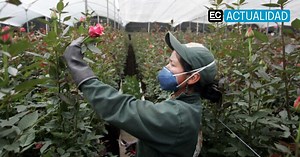 El 2025 aún no termina, pero será mejor que 2024 en Inversión Extranjera Directa en Ecuador