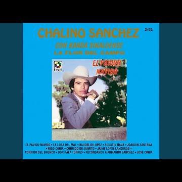 La Loba Del Mal