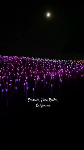 Sensorio, Paso Robles, California