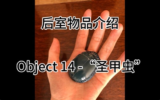 后室物品介绍 Object 14-“圣甲虫”