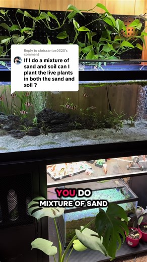 Mixing Sand and Gravel for a Clear Aquarium