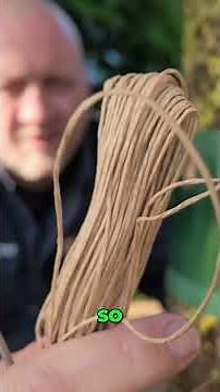 No More Pests: Small Trick, Big Harvest!