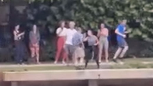 Video shows Brickell Key confrontation after man allegedly pushed dog into water, prevented rescue