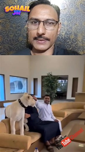 Best funny Facebook reels 藍 #viralreelfacebookpage #facebookreelsviral #funnyreelsvideo #viralreelfacebook #trendingreelsvideo #trendingreel #funnyvideoreaction #facebookviral #facebookreel #funnyreels | Reaction videos | Facebook