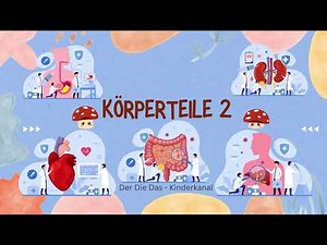 Körperteile 2 | Organe für Kinder leicht erklärt | Deutsch für Kinder | Lernen mit Spaß | DerDieDas