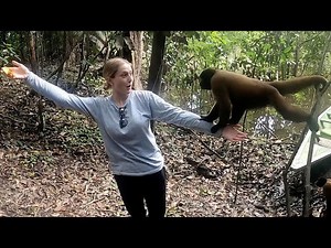 Encountering monkeys and other crazy wild animals in the middle of the Amazon Jungle!