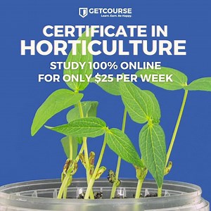 4.3K views · 29 reactions | Are you a green thumb looking for...