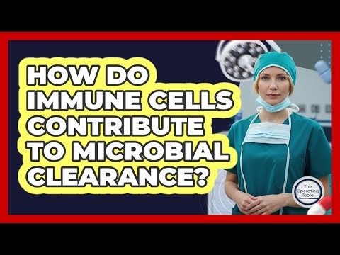How Do Immune Cells Contribute To Microbial Clearance?
