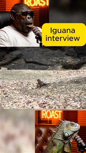 4.8K views · 9.3K reactions | follow for more #reels #fyp #crazy Use this link to create Aivids https://www.flashloop.app/?ref=G2NSBK&utm_source=chatgpt.com hope this will add value ☺️ | Immanuel Zitha | Facebook