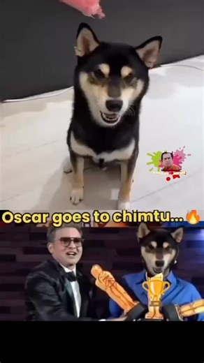 uniq meme on Instagram: "Instagram has rolled out several new updates focusing heavily on AI integration, enhanced creator tools, and a revised user interface that prioritizes Reels and DMs. Key recent updates include: For All Users Revised Navigation and Layout The interface has been reorganized, placing Reels and Direct Messages (DMs) more centrally in the app's navigation bar to reflect what users interact with most. "Your activity" Updates A new 'Watch history' feature for Reels is available