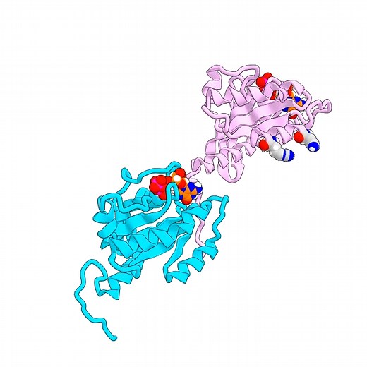 D. E. Shaw Research: Research