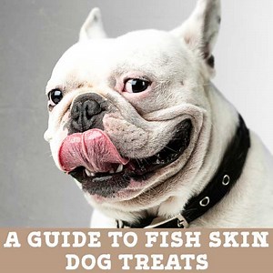 A Guide to Fish Skin Dog Treats (by Jo the Vet) - Kip & Twiggy's
