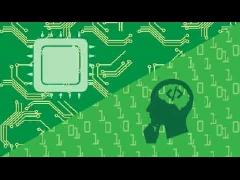 Low Level vs High Level: Which Programming Language to Choose?