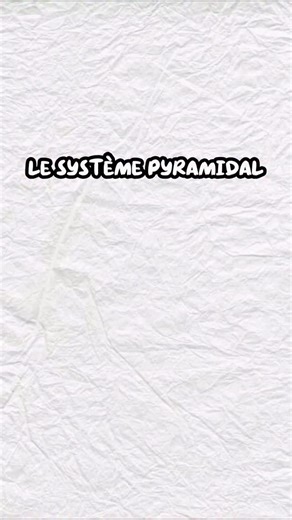 @minou_explique on Instagram: "Le système pyramidale expliqué par minou :) #fraude #systemepyramidal #minouexplique"
