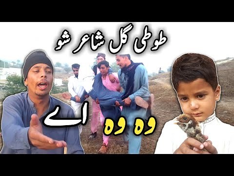 Tuti Gull Shayer Sho || Pashto Funny Video 2020 By Tuti Gull Vines