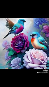 25K views · 1.1K reactions | Good night  | Model Minh Trí | Facebook