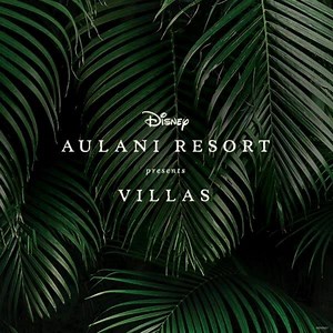 6.8K views | Get all the comforts of home with a fun-filled Resort in your backyard. Choose from 1-, 2- and 3-bedroom Villas. | Aulani, A Disney Resort & Spa | Facebook