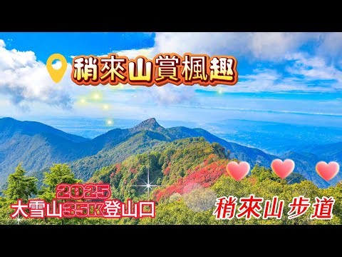大雪山稍來山楓紅步道｜一年只等這一季｜🍁滿地紅葉×野生動物巧遇
