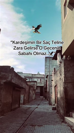 K̷e̷r̷e̷m̷🔱 (@k.e.r.e.m.03) adlı kullanıcının Türk Kızı - Mustafa Yıldızdoğan ile oluşturduğu videoları