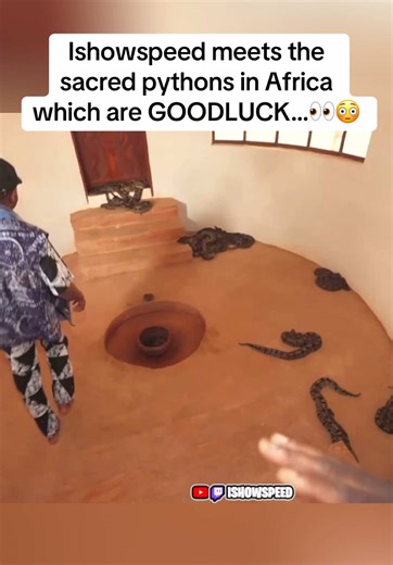 Ishowspeed meets the sacred pythons in Africa which are GOODLUCK…👀😳#fyp #ishowspeed