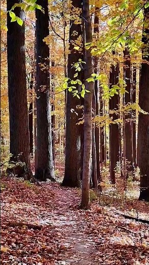 Discover Fort Harrison State Park | Top Highlights & Hidden Gems, | Indiana, USA