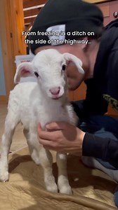 46K views · 3.1K reactions | A day in the life of a one-week-old...