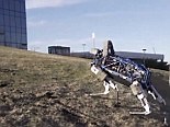 Boston Dynamics four-legged robot that climbs hills