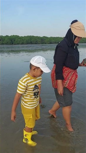 What kind of shells can you get? #shortvideoviral #beach #shells