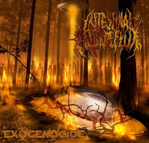 Intestinal Alien Reflux - Exogenocide