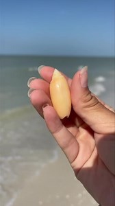 3.3K views · 93 reactions | It’s GOLDEN  The Golden Olive is a Rare...