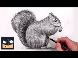 How To Draw a Squirrel  Sketch Art Lesson (Step by Step) - Videos For Kids