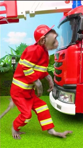 #monkeybaby #animalshome #bobykidstv #cutemonkey