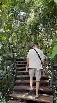 Three Monkeys Restaurant Phuket: Dining in the Jungle 🇹🇭