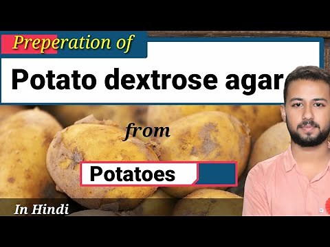 PDA preparation from Potatoes | potato dextrose agar preparation | culture media microbiology