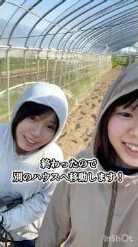 【ぶどうの作業🍇】マイカー線を集めて、誘引をしました！新しく定植したハウスも綺麗に掃除しつつ、現在育てているぶどうのハウスの管理も大急ぎでやっております！💨 #農業 #ぶどう #農業女子 #姉妹