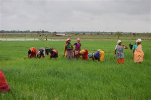 Gadhbo Nava Chhattisgarh