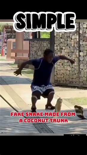Fake Snake Prank Gone Wrong! 😂 #shorts #comedy