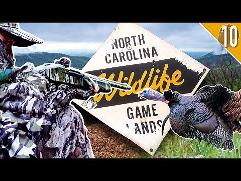 TURKEY HUNTING in the MOUNTAINS! - North Carolina Public Land