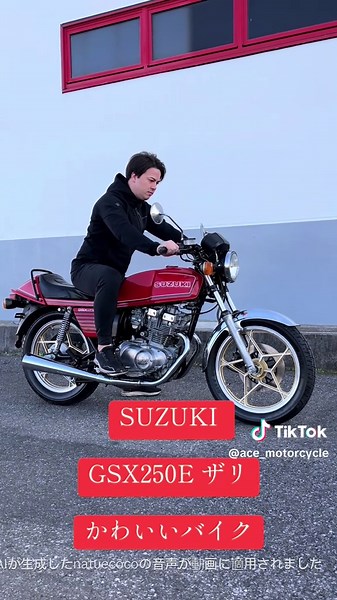 スズキGSX250Eザリの魅力とバイク紹介